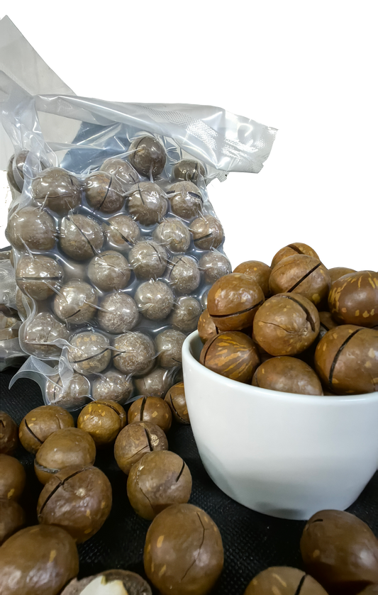 In-Shell Macadamia 500 Grams  ماكاديميا باقشر